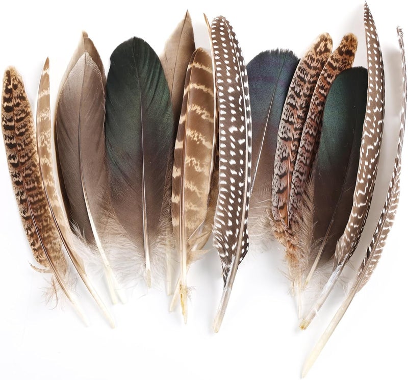 Daieeparty 15pcs Pheasant Feathers 5-8inch Natural Craft Feather for Home DIY Dreamcatcher Hat Costumes Decoration(5 Styles) - Image 1